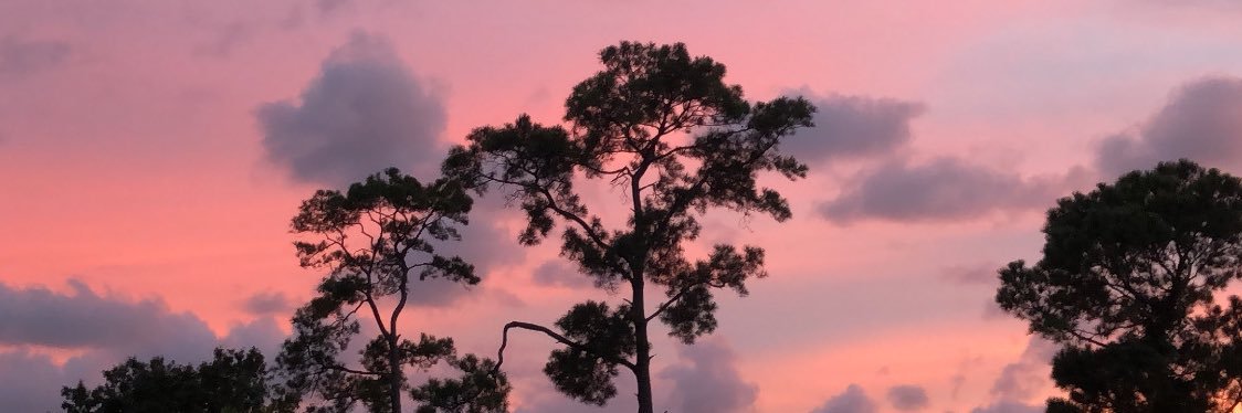 jacquee504's profile banner image