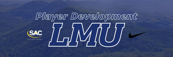 LMUPlayerDev Profile Banner