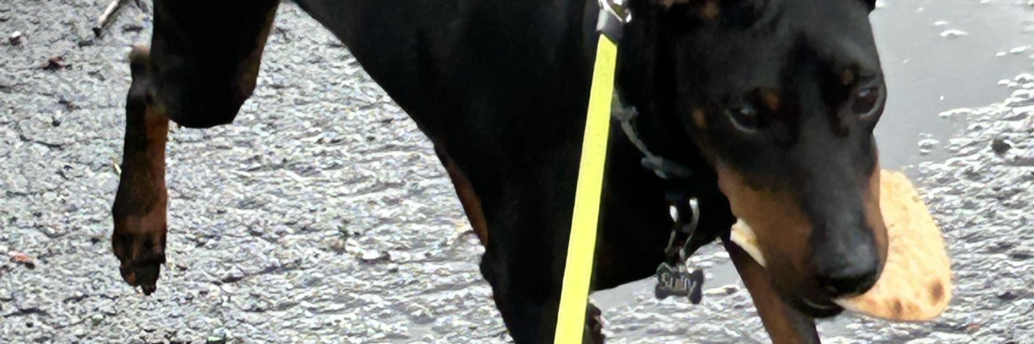 yesimlarping's profile banner image