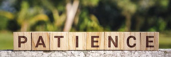 ShinyForex Profile Banner