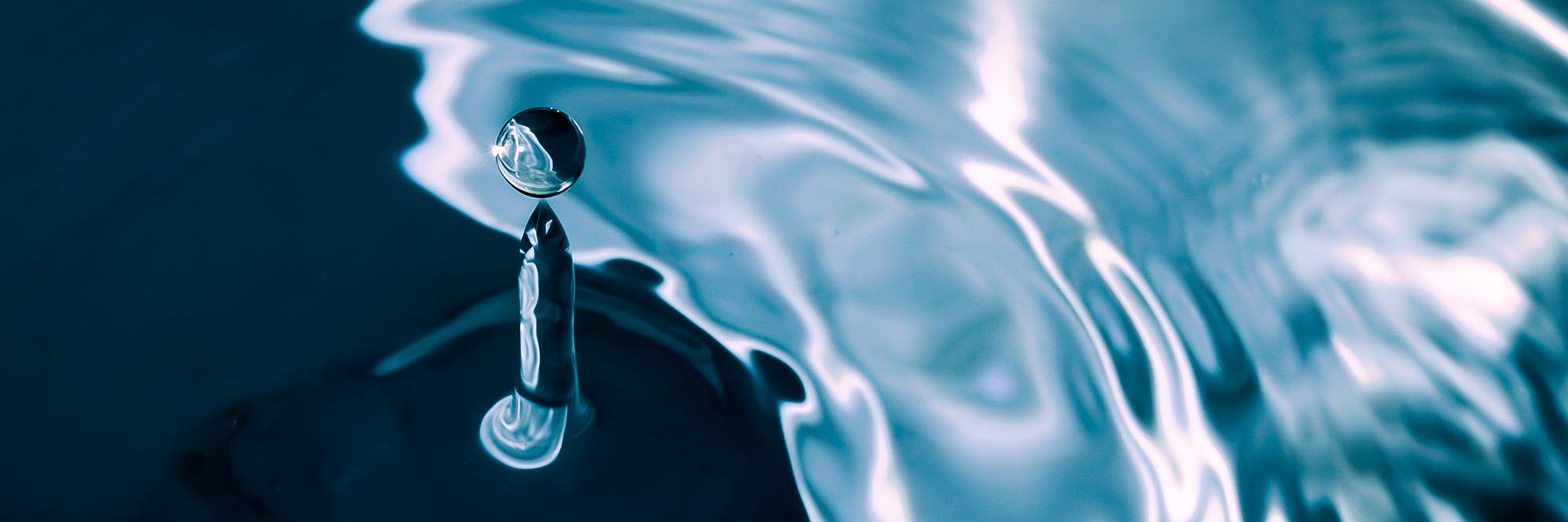 stevenlight_co's profile banner image