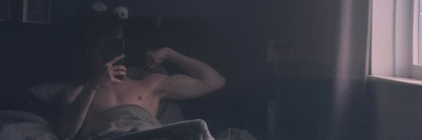 ZaynxFox Profile Banner