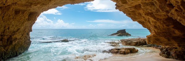 barcann Profile Banner