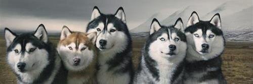 meryy_35's profile banner image