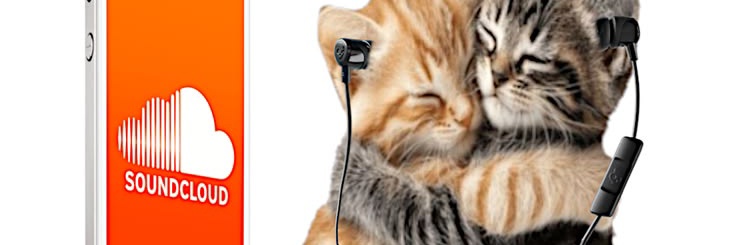Cusybau banner