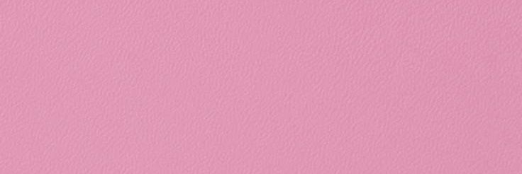 elexia_23's profile banner image