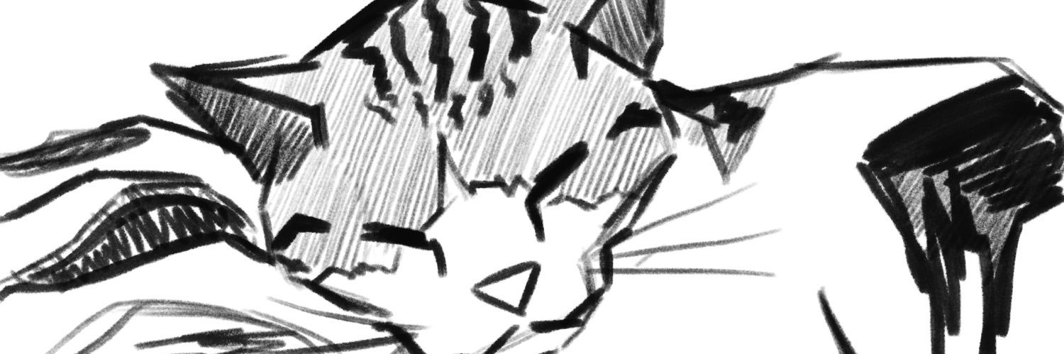 Timø banner