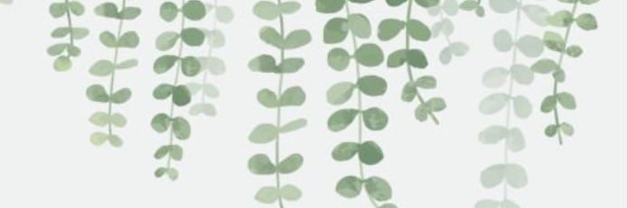 LuPullol's profile banner image