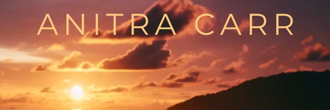 anitrasings's profile banner image