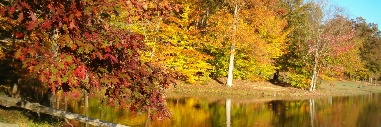 Ron Stevenson banner