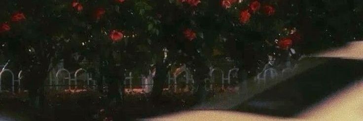 lttlmsktty's profile banner image