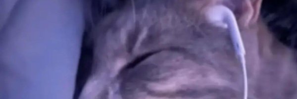 z0yyk Profile Banner