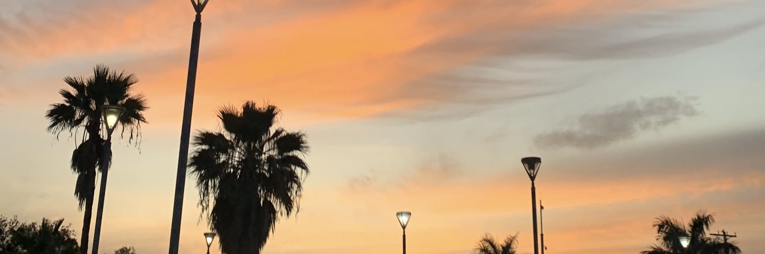 larissarpp's profile banner image