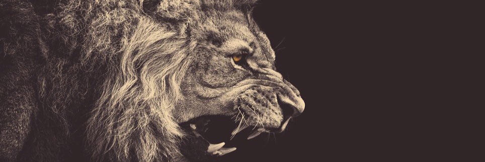 sadececimbombm's profile banner image