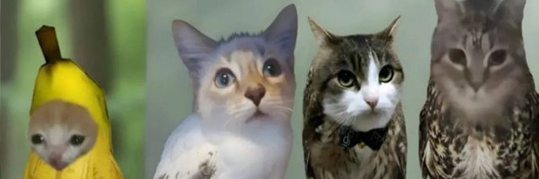 sifu00077c Profile Banner