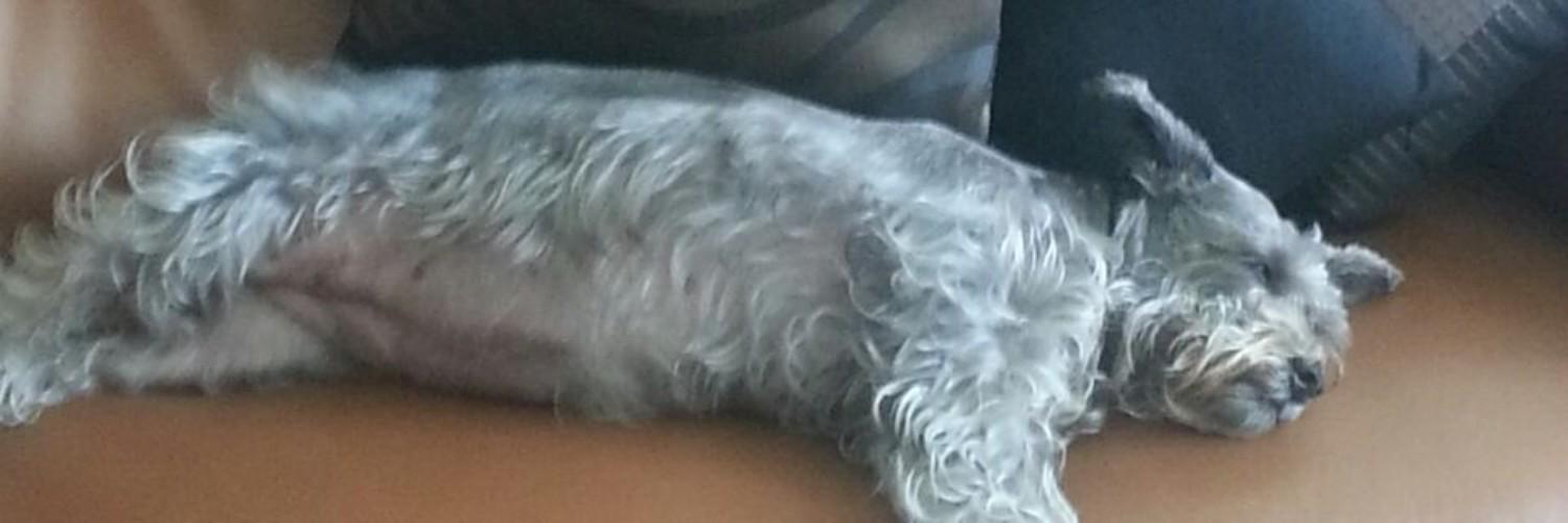leojrs08's profile banner image