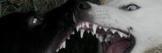 marser ⚔️ banner