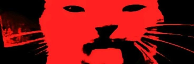 jeoo❤️‍🔥 banner