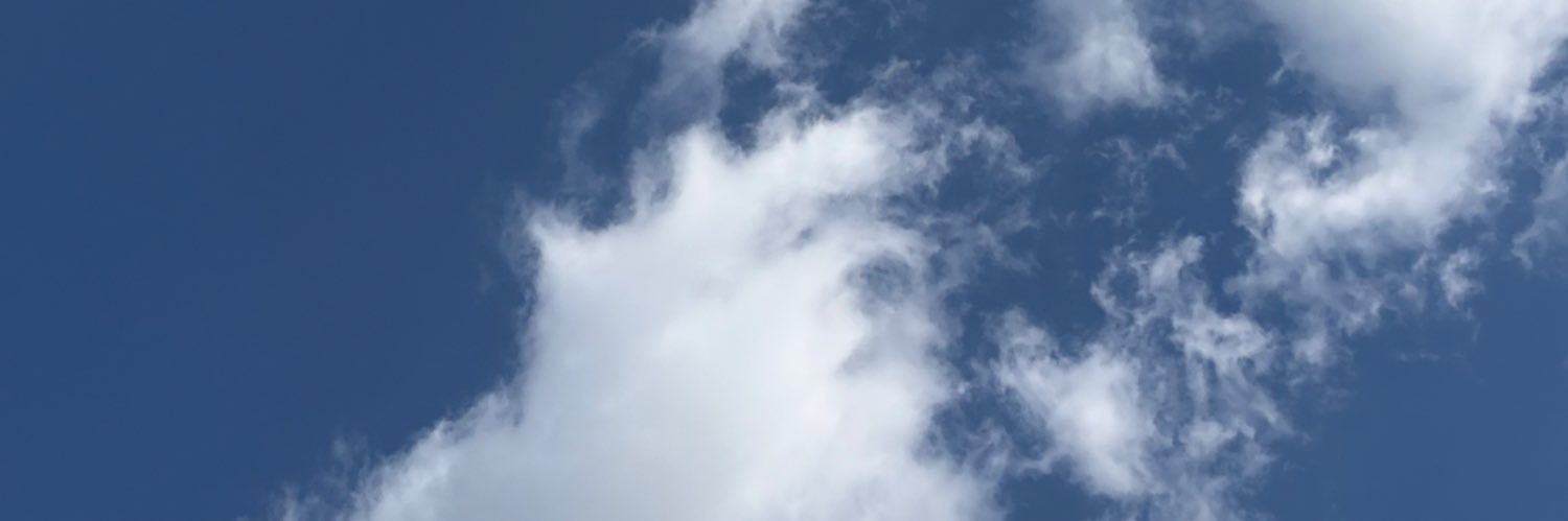 wingiiie's profile banner image
