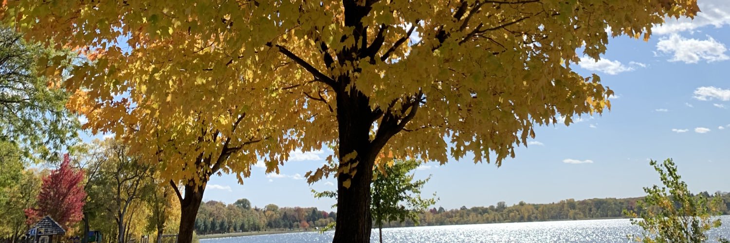 AdrianneJRoss's profile banner image