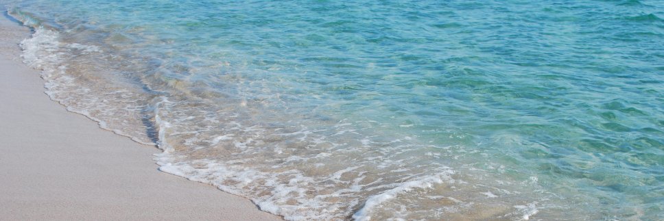 ley_la's profile banner image