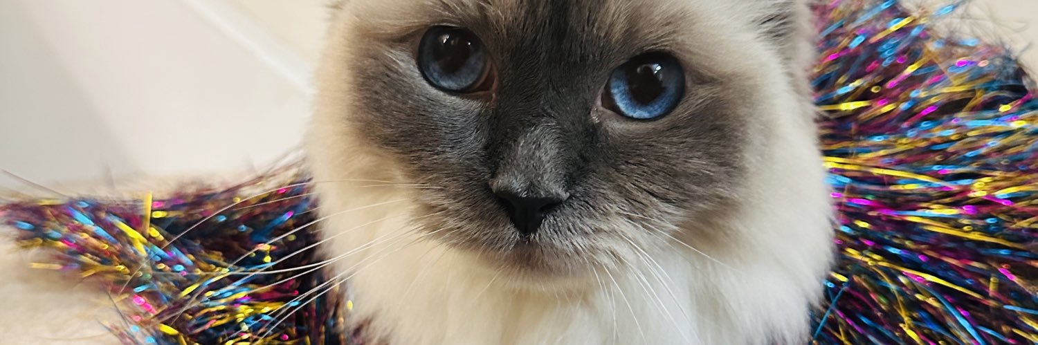 Amanda_mb's profile banner image