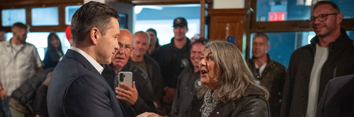 Kathy Borrelli MP banner