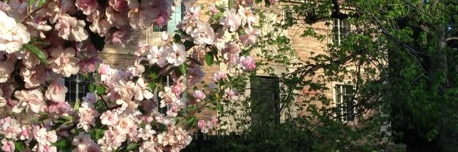 CU Boulder Econ banner