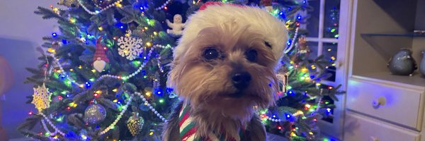 SandraA64899 Profile Banner