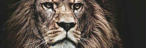 albeiro0208's profile banner image