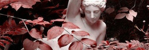 Neuma_h's profile banner image