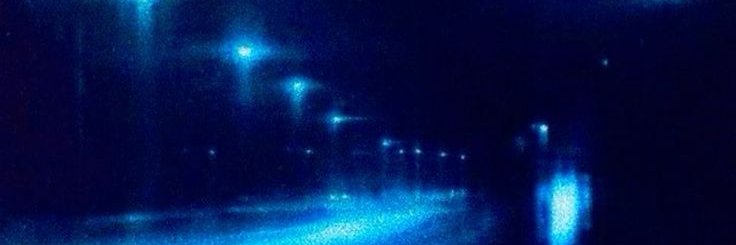 𝘒𝘢𝘵 𝘊𝘢𝘵 banner