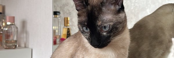 iaekz_ Profile Banner