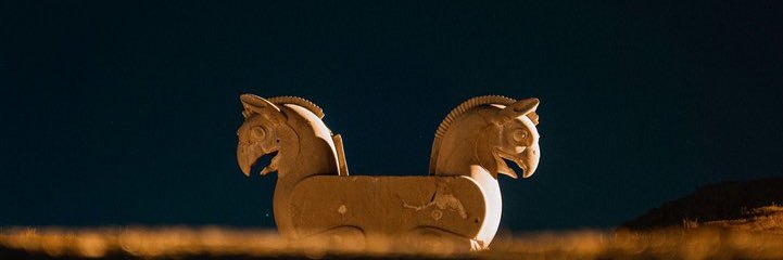 distal access banner