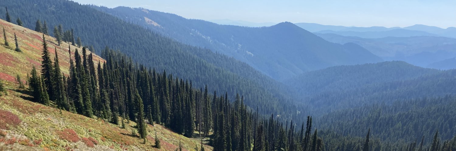 Zechariah French banner