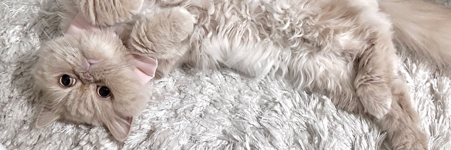 絶対痩せる🤍 banner