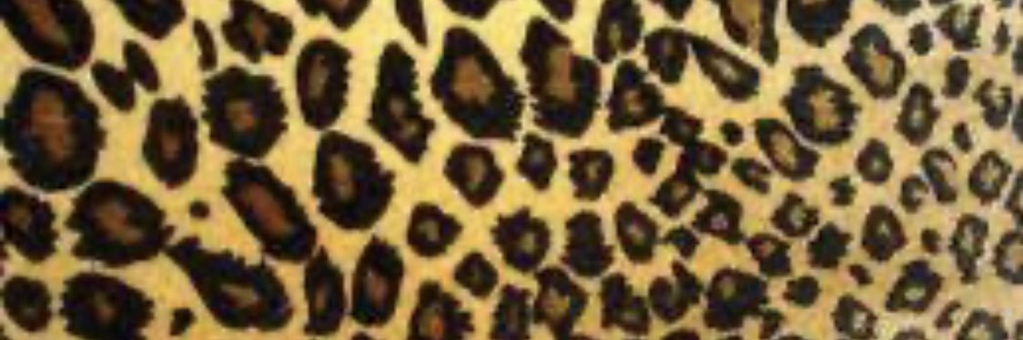 LSANZ25's profile banner image