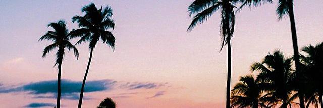 DvdCrspJr's profile banner image
