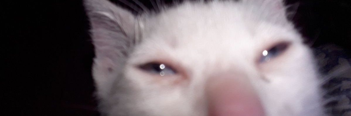 ser6ydd's profile banner image