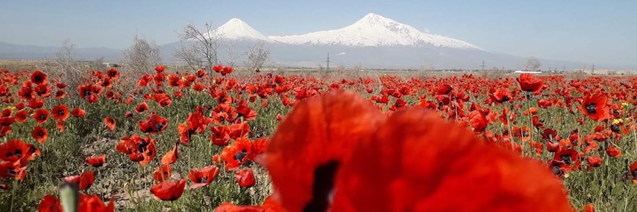 dogan92454's profile banner image