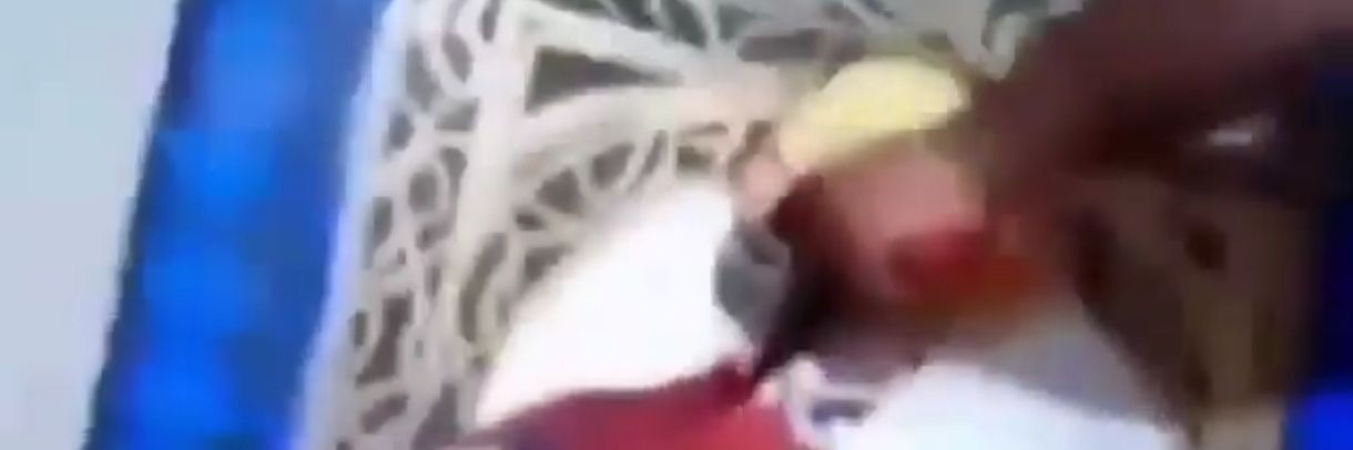 Terbiyesiz mi bu kaplumbaglar banner