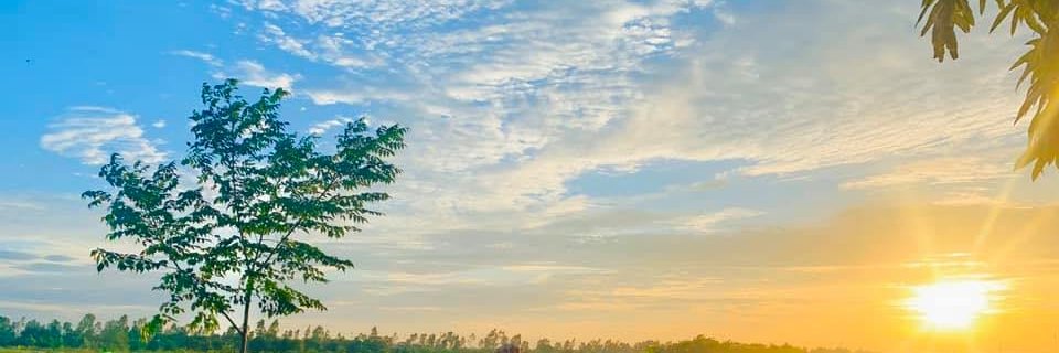 Strickland Hiba banner