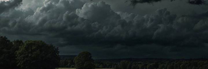 missfarahmand's profile banner image