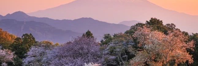 itringnk's profile banner image