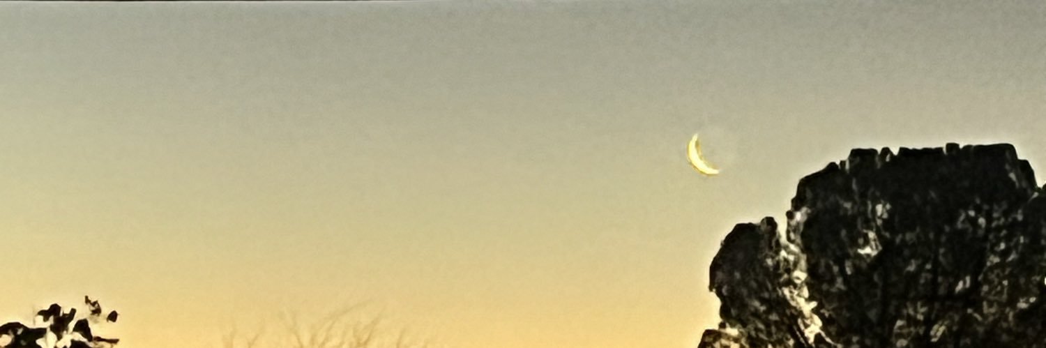 oochiexoochie banner