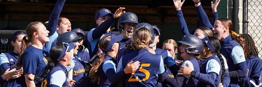 hillary smith banner