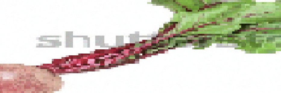 betweenmonths's profile banner image