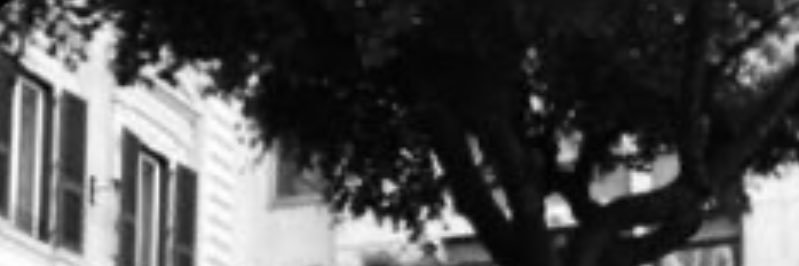 …✪ banner