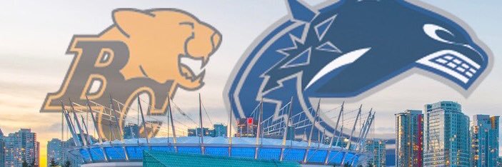 Vik Bains banner