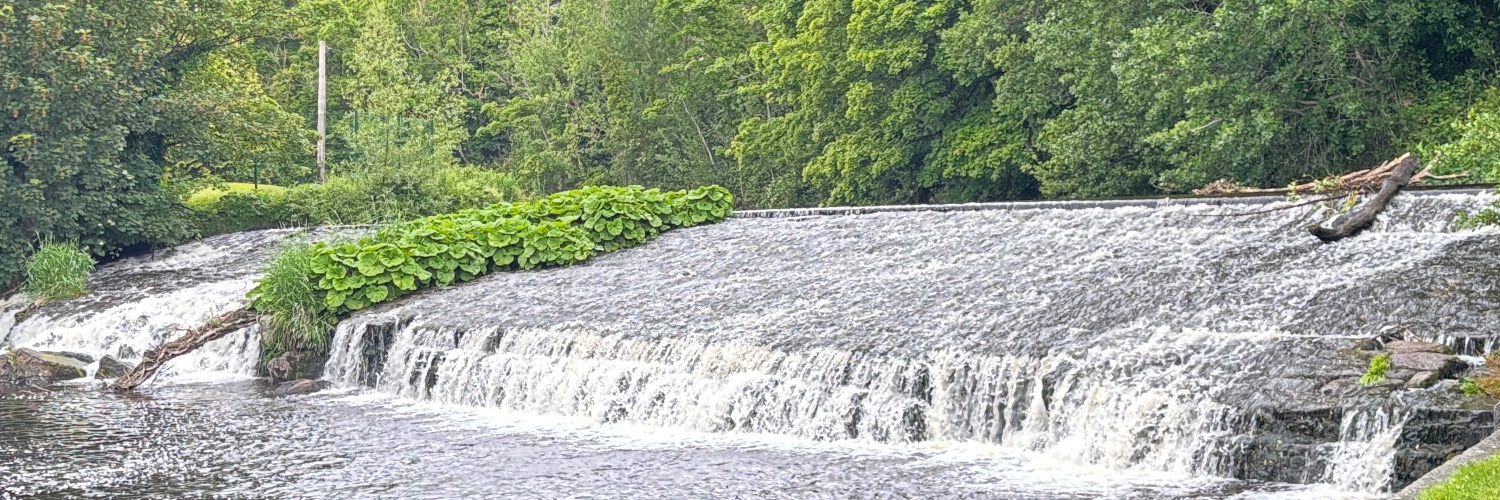 Colin Manning banner